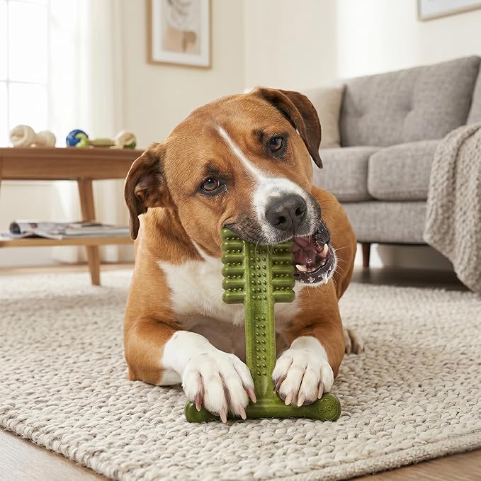 SPOT Bam-Bones Plus Toothbrush Dog Chew Toy for Medium Dogs 30-60 lbs, Bamboo & Nylon Dental Chew with Mint & Baking Soda, T-Bone Shape for Moderate to Heavy Chewers, 6 Inch