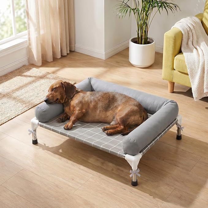 Elevated Dog Bed with 3 Sided Bolster - 20"x26" Raised Pet Cot for Small Dogs, Stainless Steel Frame Portable Dog Sofa for Indoor, Outdoor, Camping and Patio