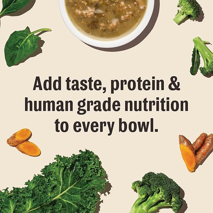 The Honest Kitchen Human Grade Superfood POUR OVERS Wet Toppers for Dogs (12 Pack), 5.5 oz - Beef & Lamb Stew