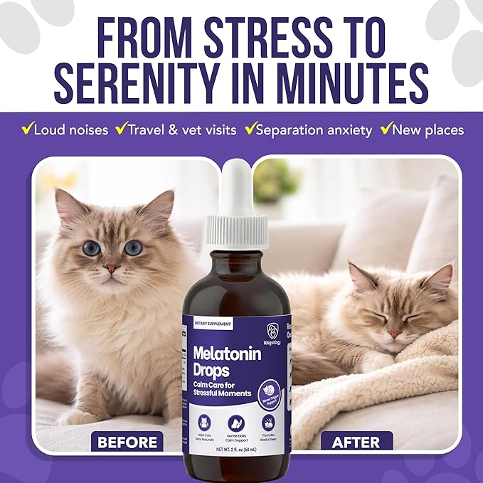 Cat Melatonin Drops, Liquid Melatonin for Cats for Grooming, Travel and Vet Visits, Calming Cat Sedative for Grooming, Cat Sleep Aid, Cat Melatonin Treats