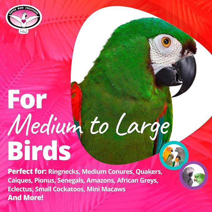 Super Bird Creations SB1203 Large Rainbow Aglets Bird Toy - Satisfies Chewing & Preening Instincts - African Greys Small Cockatoos Parrots - Encourages Curiosity - Ideal for Medium-Large Bird Size