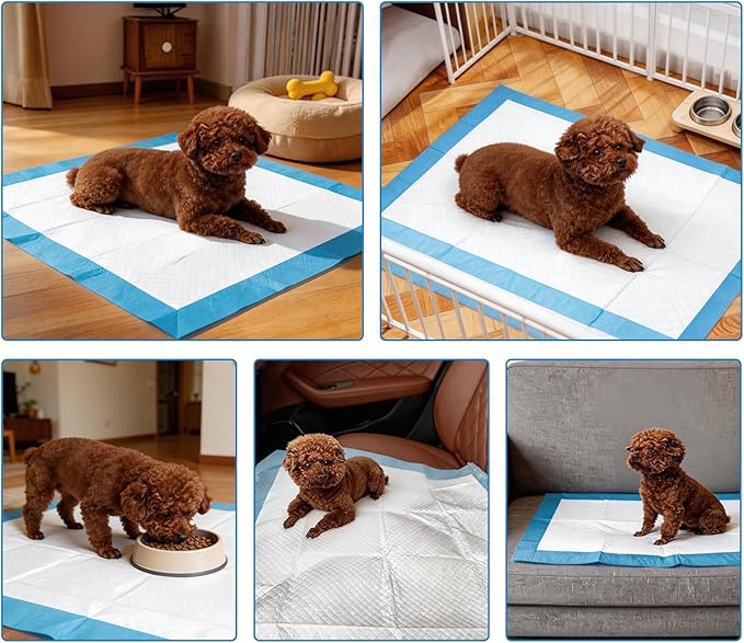 6 Layers Dog Training Pads, Super Absorbent Leak-Proof Puppy Pads, Dog Pee Pads 40 Count 23"x 23", Quick Dry Surface, Perfect for Puppies & Senior Dogs