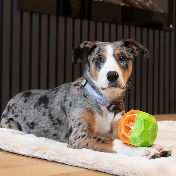 SPOT Geo Play Dual-Texture Cube Dog Toy – Durable Rubber & Foam, Squeaky, Floating, Treat-Dispensing Toy for Interactive Play, 3.5 Inches