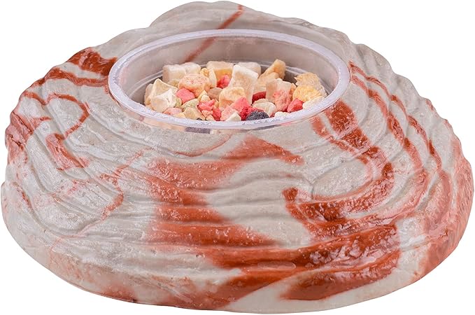 Healthy Herp Box Turtle Food Instant Meal for Reptiles - Nutritious Turtle Food, Tortoise Habitat Accessories - Made in USA - for Box Turtles, Lizards, Tortoises - Variety Pack (14 Cups & 1 Dish)