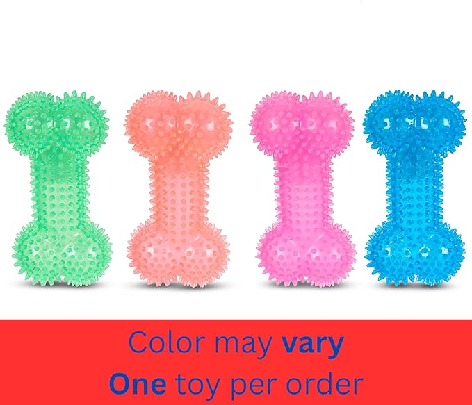 Bow-Wow TPR Spiked Squeaky Dog Toy – Dental Ring or Bone – Vanilla Scented, Colorful, and Fun – Gum Massaging Spikes for Everyday Play
