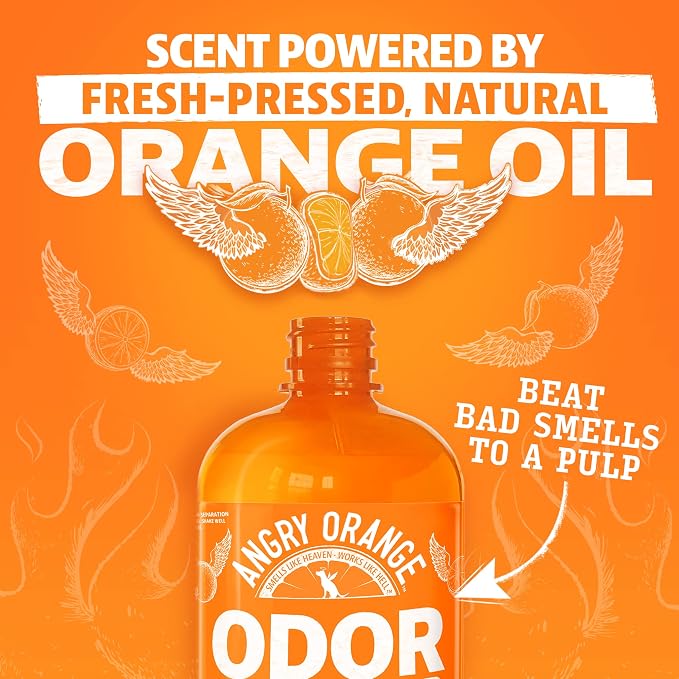 ANGRY ORANGE Pet Stain and Odor Remover - 2 Spray Pack - 32 oz Dog, Ferret, Rabbit & Cat Urine Enzyme Cleaner - 8 oz Strong Pet Odor Eliminator Concentrate - For Pee on Carpet, Furniture, Tile, Wood