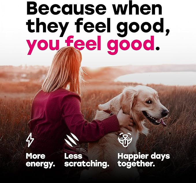 24-in-1 Dog Multivitamin Chews – Dog Vitamins and Supplements with Glucosamine, Chondroitin, Probiotics, Salmon Oil, Biotin – Daily Mobility, Digestion, Skin and Coat Support, Beef Flavor