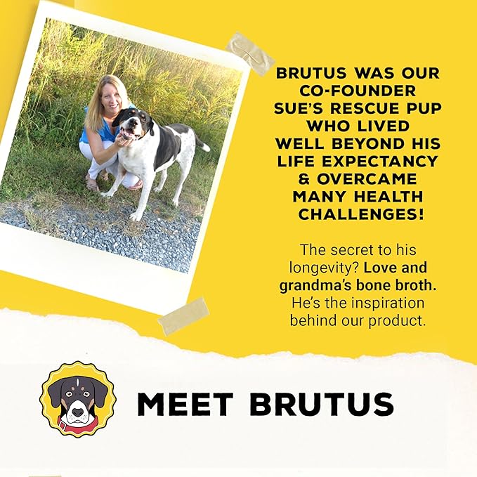 Brutus Brothcicles Frozen Dog Treats - Turkey Flavor Dog Popsicle Snack, Hydrating Frozen Enrichment Treat with Superfoods,12 Fl Oz Pack of 1 (2 oz per Stick)