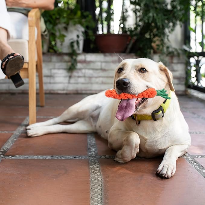 Vaulted Skulls & Co Carrot Dog Toy Small 5" | Carrot Shaped Dog Toy | Teething for Dogs | 5 Inches