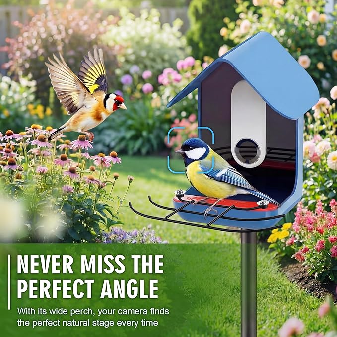 Hohean Metal Perch Extender Compatible with Bird Buddy Smart Feeder - Weatherproof Fan Shaped Perch Accessory with Installation Screws, Ideal for Multiple & Clear Bird Photos