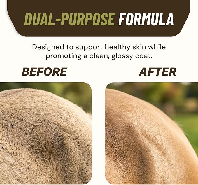 Saratoga Veterinary Product Antifungal Shampoo for Horses - Antibacterial Horse Shampoo and Conditioner - Effective Antifungal Horse Shampoo - Professional Quality Equine Care (1 Gallon)