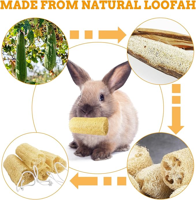 12 Pcs Rabbit Chew Toys Natural Bunny Loofah Chew Toy Chinchilla Teeth Grinding Toys Guinea Pig Fibre-Rich Treats Enrichment Bunny Accessories for Rabbits Hamster (S)