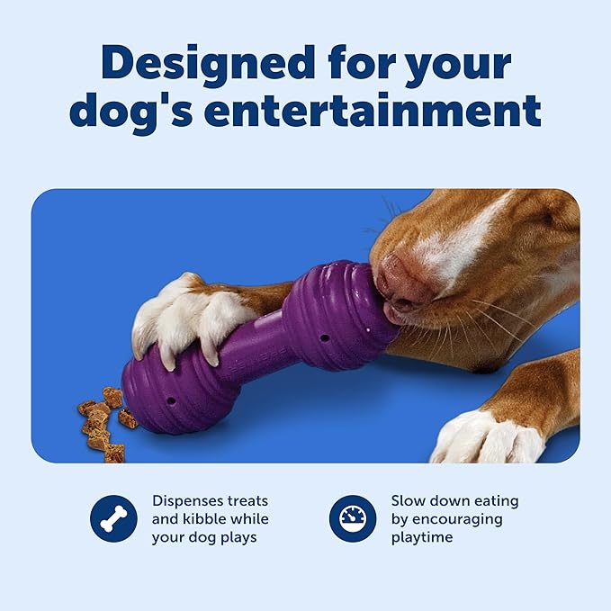 PetSafe Busy Buddy Chuckle, Medium/Large