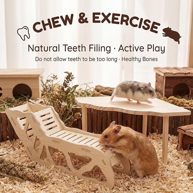 4 PCS Natural Wood Hamster Cage Accessories Set, Multi-Level Habitat Decor with Cloud Hideout, Climbing Ladder & Standing Platforms, Exercise Playground for Syrian Hamsters, Gerbils, Mice (B)