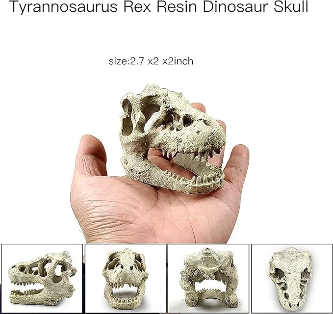 AWXZOM Reptile hideouts Come with Dinosaur Skull Hideout, Resin Cactus Desert Aquarium Tank Habitat Accessories for Bearded Dragon Chameleon Leopard Gecko Snake Fish (Ball Cactus)