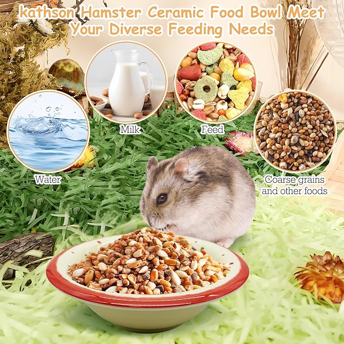 kathson Hamster Ceramic Food Bowl Small Animal Bowls with Watermelon Pattern for Cage Guinea Pig Anti-Turning Food and Water Dish Pet Feeder for Gerbil Hedgehog 2PCS