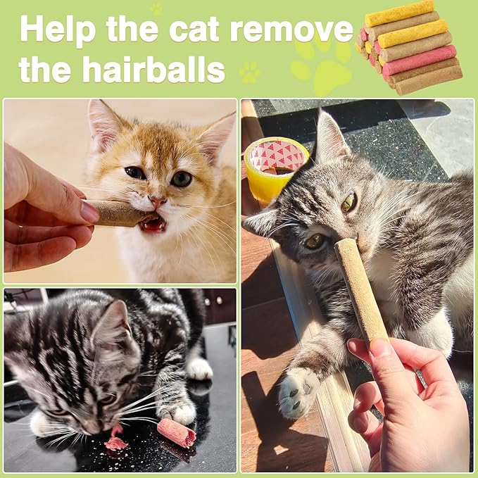 4 Flavors/110g Freeze-Dried Cat Treats,Chew Sticks for Cats and Dogs,Cats Dental Healthy and Hairball Control,Digestive Health Support,(Beef,Cat Grass Salmon,Chicken Pumpkin,Chicken Dragon Fruit)