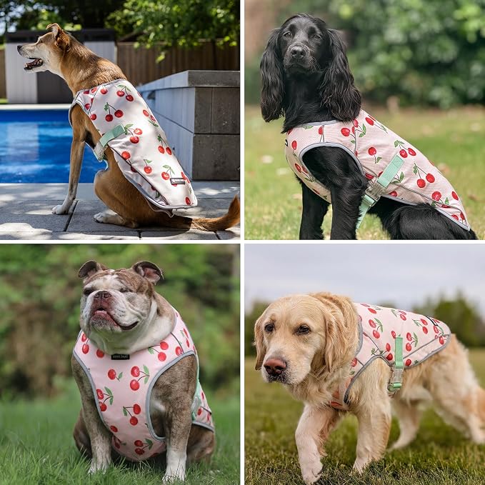 Spark Paws Dog Cooling Vest - SPF 50 UV Sun Protection - Summer Heat Relief Gear for Dogs, Lightweight, Evaporative Cooling - Dog Anxiety Relief Vest During Hot Days - Cherries - Size S