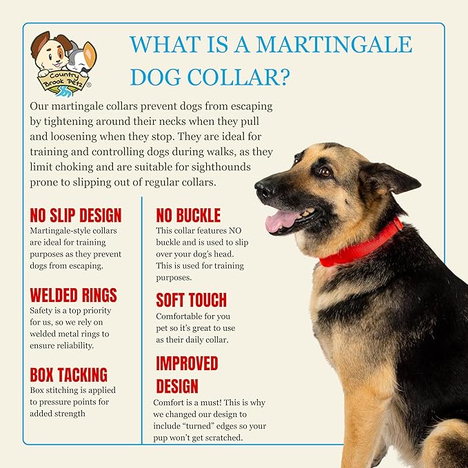 Country Brook Petz - Martingale Dog Collar - Heavy-Duty Training Collar with No Buckle - Service Dog Collar for All Pups - 20 Vibrant Colors (Hot Orange, 1 Inch, Large)