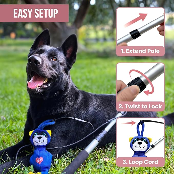 Flirt Pole for Dogs Heavy Duty - Multi-Sensory Tough Chase Toy for Medium & Large Breeds – Extra Strong 35" Dog Teaser Wand for Backyard Play, Training and Interactive Fun (Raccoon)