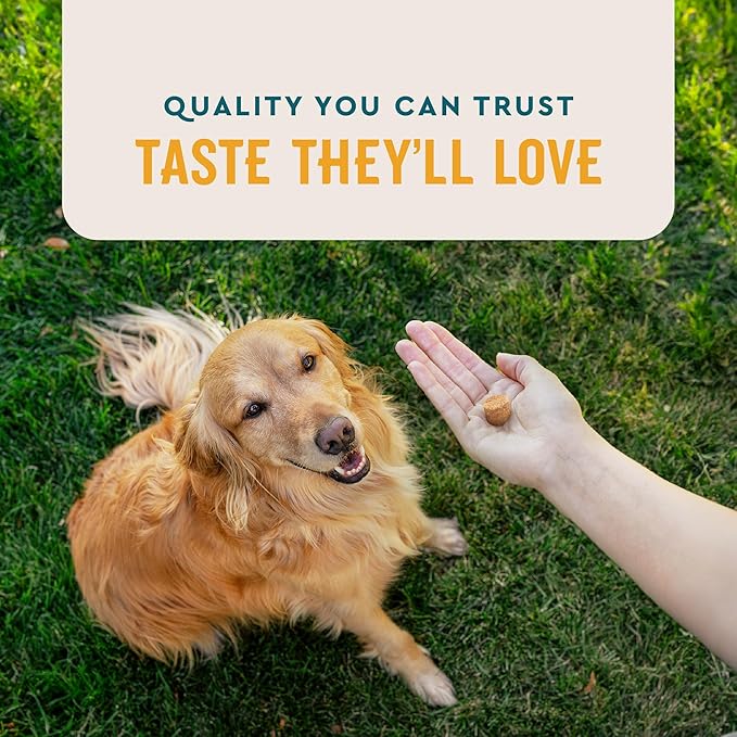 VetIQ Flea & Tick Support for Dogs, Flea and Tick Chewable, Supports Dog's Natural Flea Defenses, Free of Added Chemicals and Garlic, Hickory Smoke Flavor, 90 Count