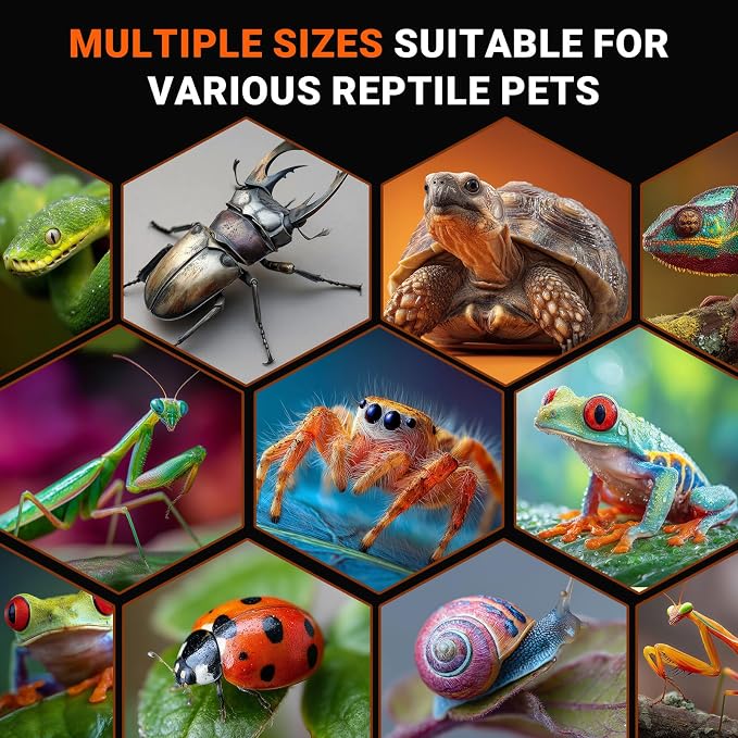 Jumping Spider Enclosure - Acrylic Terrarium Habitat for Spiders, Tarantulas, Snail, Mantis, Lizard, and Small Reptiles, Dual Magnetic Doors (6x6x9 inch)