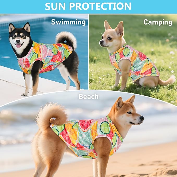 KYEESE 2Pack Dog Shirt, Lightweight Sun Protection Dog T Shirts for Small Dogs Girl, Breathable Mesh Tank Top Sleeveless Puppy Reflective Vest, Soft Summer Dogs Clothes, Lemon+Pink, S