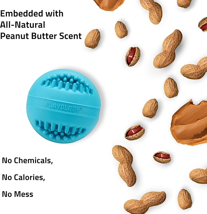 Playology Dog Toys | Dental Chew Ball for Large Senior Dogs| Peanut Butter Scented Jumbo Toy | Dog Balls for Healthy Teeth and Gums