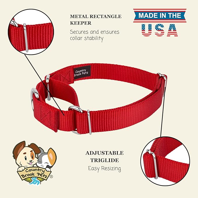 Country Brook Petz - Martingale Dog Collar - Heavy-Duty Training Collar with No Buckle - Service Dog Collar for All Pups - 20 Vibrant Colors (Red, 3/8 Inch, 2XS)