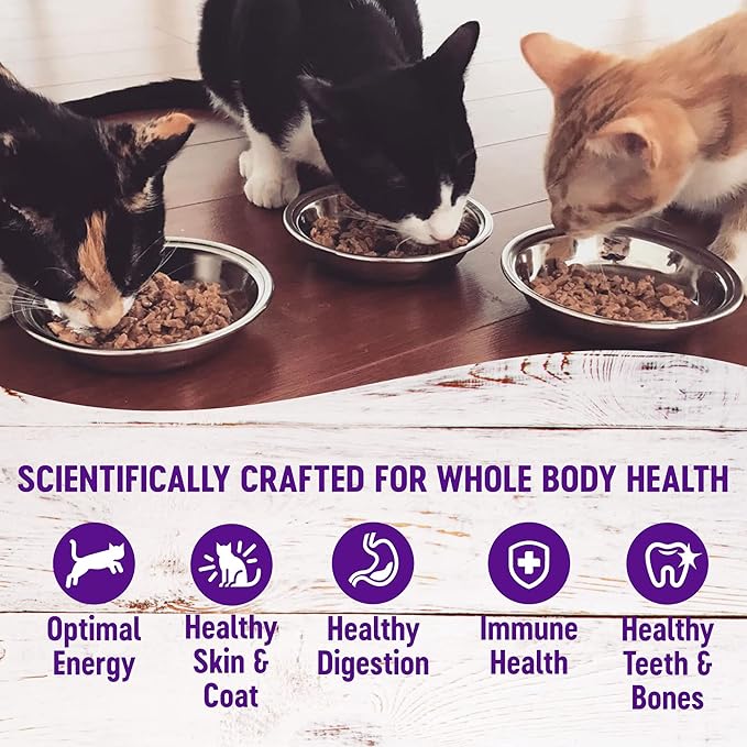 Wellness Healthy Indulgence Gravies Variety Pack Adult Wet Cat Food, Natural, Protein Rich, Grain Free, 2 Flavors, 3 oz, Pack of 8 Pouches