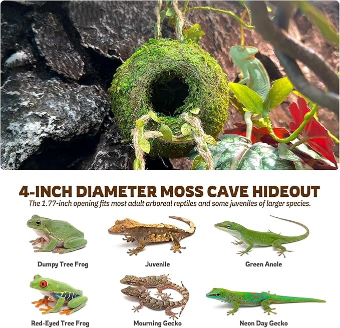 Moss Cave Hideout with Hanging Rope & Hemp Climbing Ladder – Natural Reptile Tank Decor Accessories for Crested Geckos, Chameleons, Tree Frogs, Leopard Geckos & Snakes. Terrarium & Vivarium Decor (4")