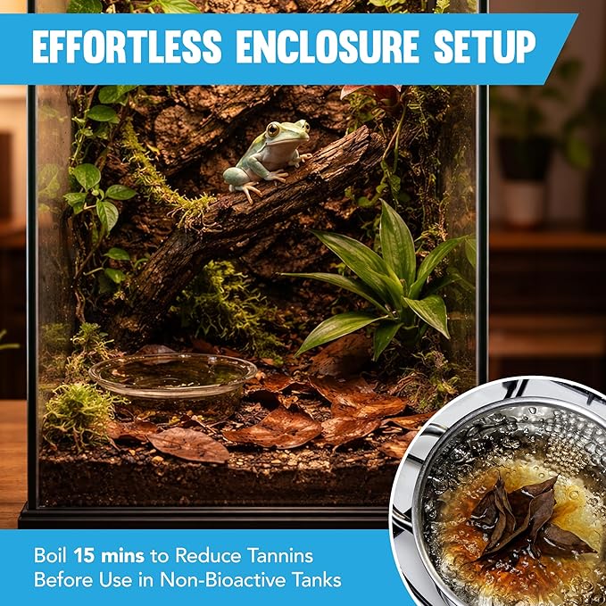JOR Mahogany Leaves, Vivarium Leaf Litter for Frogs, Mixing with Substrate, Maintains Humidity and pH Levels, Creates Natural Bioactive Habitat, Additional Food (2” Small, 50 Pack, Mahogany Leaf)