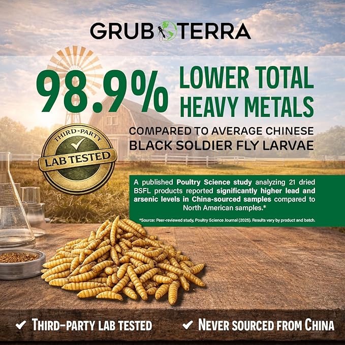 GrubTerra Black Soldier Fly Larvae for Chickens – Dried BSFL Poultry Treat, High Protein Calcium Feed Supplement for Laying Hens, Backyard Chickens, Sourced from Mexico, Not from China - 5LB