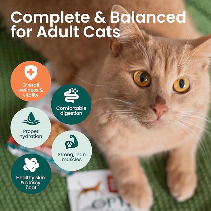 Optimeal Wet Cat Food Variety Pack - Surf & Turf Selection, Grain Free Tender Morsels, High Protein Premium Nutrition Made with Natural European Ingredients, Cat Pouches 3oz (Tuna & Mackerel)