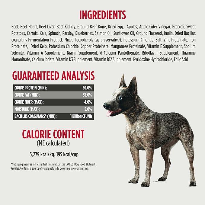 Nulo Freeze-Dried Raw Beef Recipe with Apples Complete and Balanced Dry Dog Food Kibble, 18 Ounce Bag