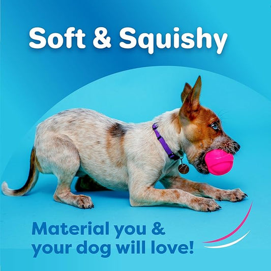 Hartz DuraPlay Bacon Scented Dog Toys, Small (Assorted Color) (Pack of 2)