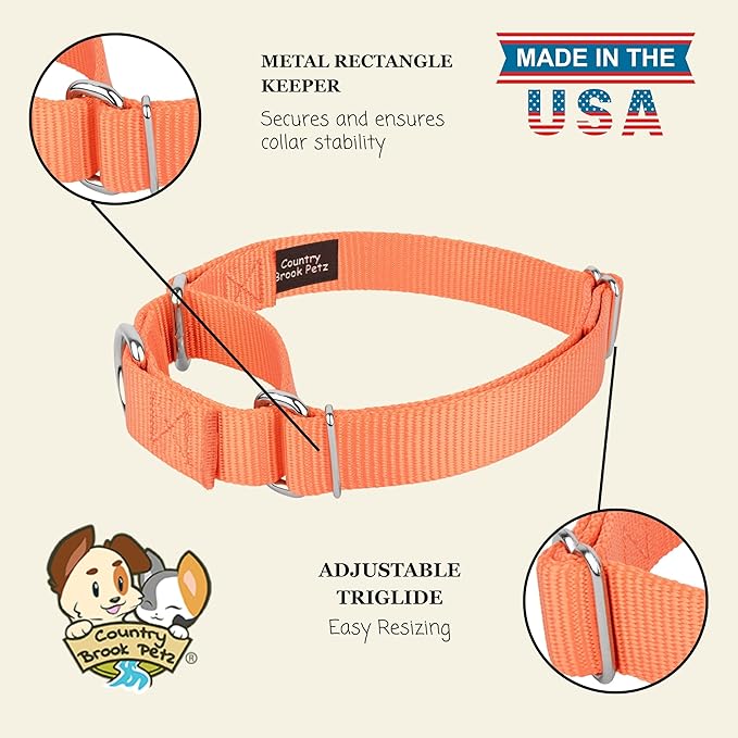 Country Brook Petz - Martingale Dog Collar - Heavy-Duty Training Collar with No Buckle - Service Dog Collar for All Pups - 20 Vibrant Colors (Mango, 5/8 Inch, Extra Small)
