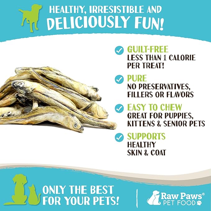 Raw Paws Smelt Freeze Dried Minnows for Cats & Dogs, 2-oz - Made in USA - Freeze Dried Fish for Cats - Single Ingredient Fish Dog Treats - Minnows Dog Treats