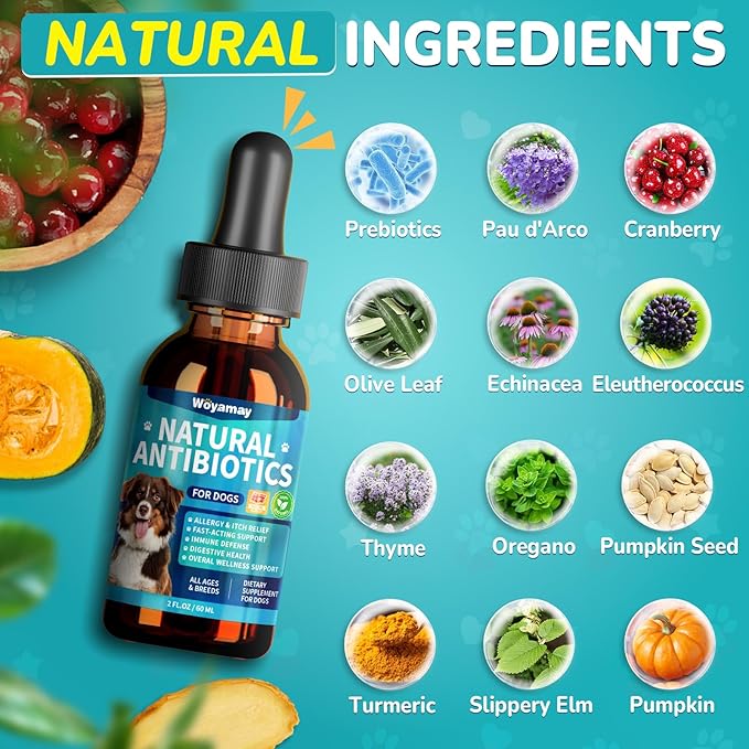 Woyamay Antibiotics for Dogs | Natural Dog Antibiotics for Allergy Relief, Itch Relief, Coughs, Skin Health, Breath Treatment, Digestion | Herbal Supplement to Care for Ears, Eyes & Coat, 2 Fl Oz