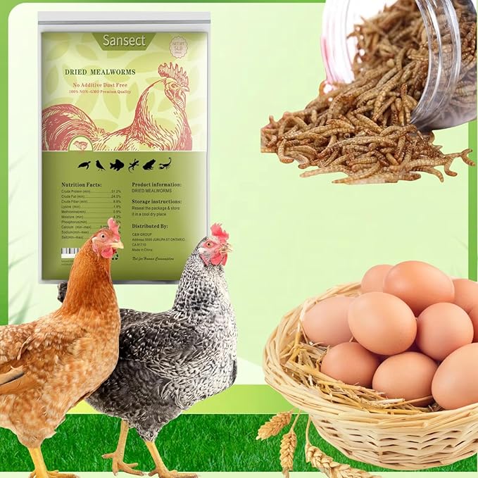 SANSECT 20 LB Dried Mealworms, 100% Natural, Non-GMO Mealworms for Chickens-High Protein Treats for Chickens, Ducks, Wild Birds