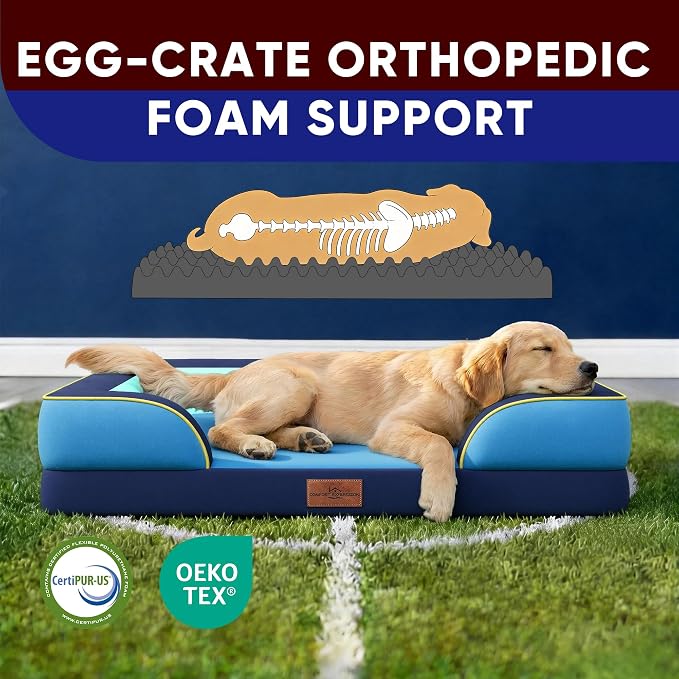Comfort Expression Orthopedic Dog Beds for Large Sized Dog with Bolster | Waterproof Dog Couch Bed with Washable Cover & Non-Slip Bottom, Supportive Egg Crate Foam Large Pet Bed, 36x27 Inch