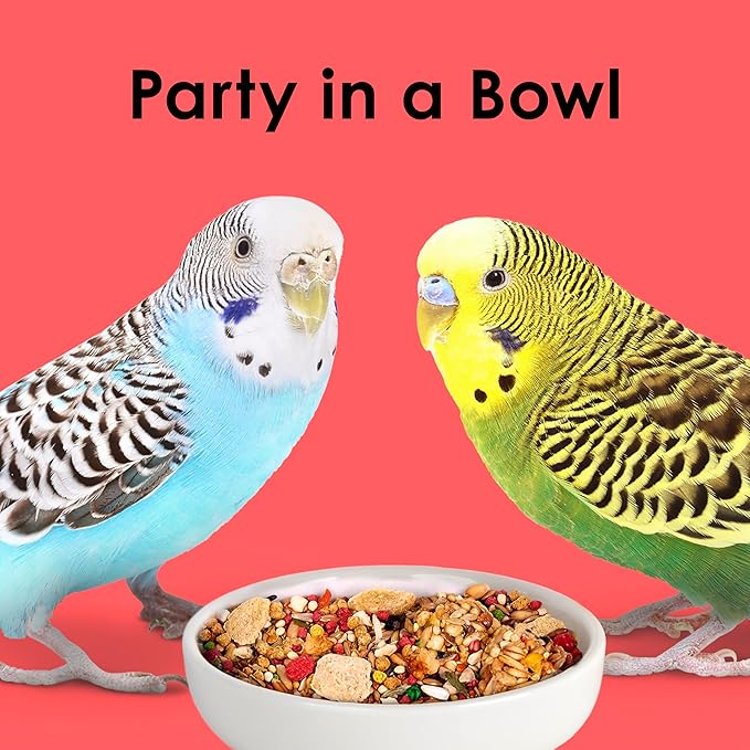 Kaytee Fiesta Parakeet Food, Nutritious and Fun Blend, Supports Skin, Feather, Digestion, Brain and Heart Health, 2 pounds