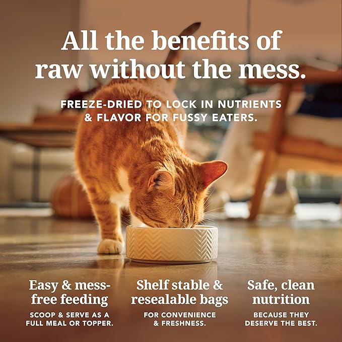 Feline Natural High Protein Dry Cat Food, Freeze-Dried Diet with 98% Meat, Organs & Seafood, No Peas, Grains, or Artificial Additives, Made in New Zealand, Lamb, 11oz