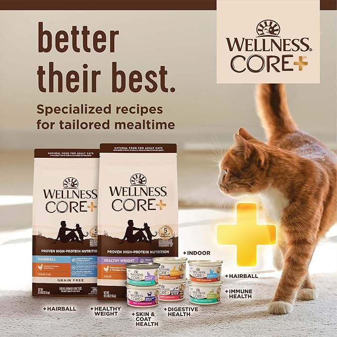 Wellness CORE+ Adult Dry Cat Food, Natural, Wholesome Grains Kibble, Digestive Health Chicken and Rice Recipe, 11 lb Bag