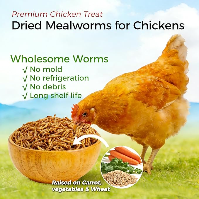 RANZ 2LBS Non-GMO Dried Mealworms for Chickens, High Protein Meal Worms, Premium Chicken Feed, Whole Large Mealworms for Blue Birds, Ducks, Fish