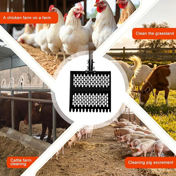 12inch Width Heavy Duty 2-in-1 Chicken Poop Scooper & Rake, Stainless Steel Chicken Coop Litter Sifting Shovel with Ergonomic Grip & Adjustable Angle, Sand Scoop for Coop, 37-54 Inch (12inch)