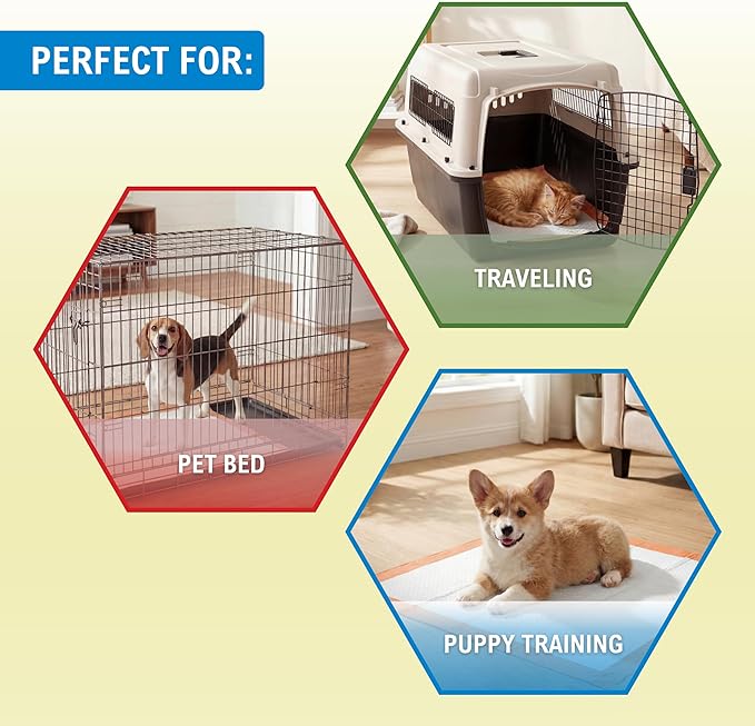 MED PRIDE Dog Training Pads with Attractant, 60 Count Puppy Pee Pads (12 Travel Packs of 5), 22 x 24 Inch Disposable Portable Potty Pads, Leakproof Waterproof Pet Pads for Home & Travel