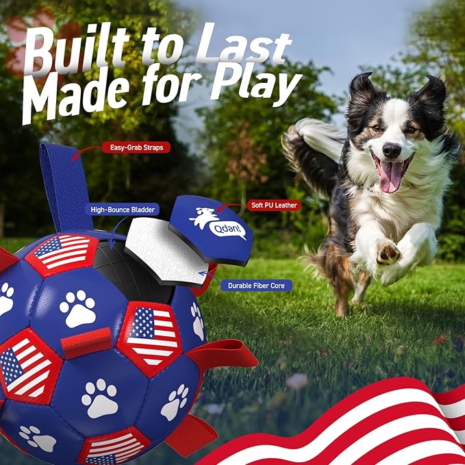 QDAN Dog Toys Soccer Ball with Straps, Durable Balls for Large Dogs, Beach Pool Dog Water Toy, Puppy Dog Birthday Gifts (8 Inch)
