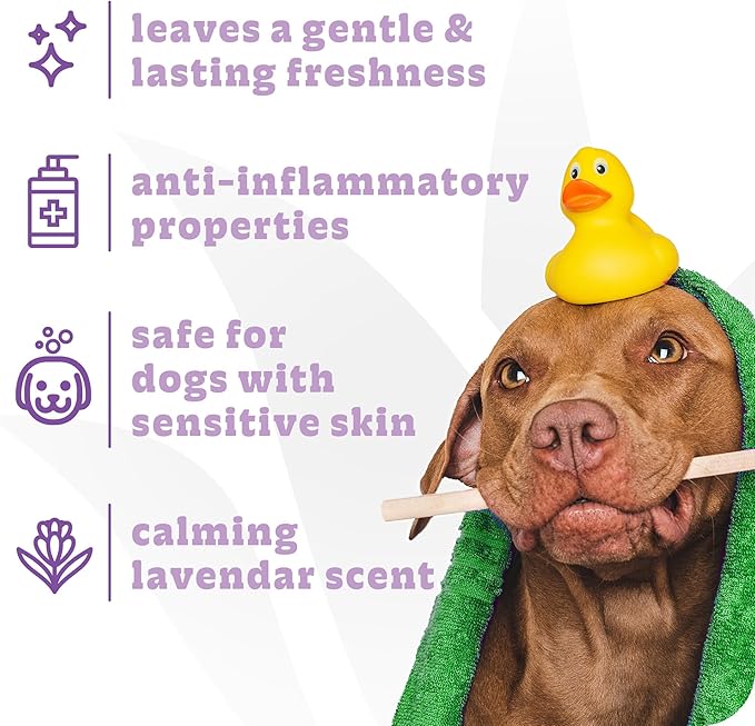 Espree Calming Lavender Dog Conditioner, Soothing Pet Conditioner with Lavender & Chamomile for Stress Relief, Moisturizing & Conditioning, Ideal for Dogs with Sensitive Skin, Fresh Scent, Gallon