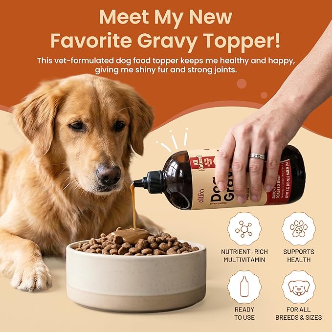 Everyday Dog Gravy - Wet Dog Food Topper for Dry Food with Glucosamine, MSM, Chicken Bone Broth, Omega 3, Probiotics and Taurine - Skin, Coat, Heart, Hip and Joint Support, 16 oz (Bacon